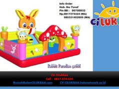 Jual Rumah Balon - Harga Istana Balon - CV. Cilukbaa