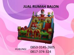 Istana Balon Importir, analisa bisnis rumah balon