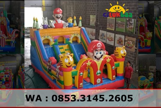 Tips Memulai Usaha Rumah Balon Bouncy Castle